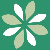 Cleanseen logo