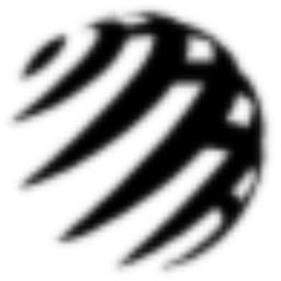 Focus Training logo