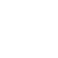 Phomatic logo