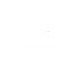 ParraCity Web logo