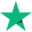 Style Loft Cases logo