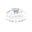 Nordicwhitening logo