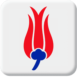 Qutahia Jewelry logo