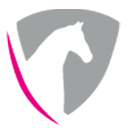 hy-equestrian.com logo