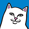 RIPNDIP logo