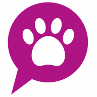 Presenzia Digital Marketing logo
