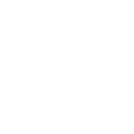 Bluevelvety logo