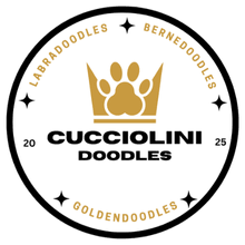 Labradoodlesbycucciolini logo