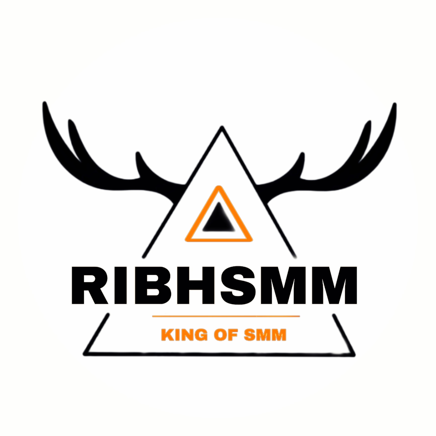 RIBH SMM logo