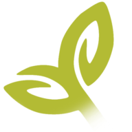 Eco Onix logo