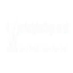 Perfectplantings logo
