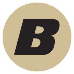 Bulhawk logo