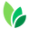 Tayyib Naturals logo