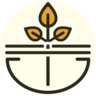 The Tribe Concepts logo