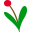 Bodha Drinks logo