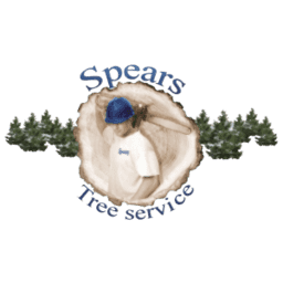 Spears Tree Experts Inc. logo