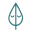 Clear Minds logo