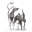 fenfarmdairy.co.uk logo