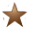 Goldstarstays logo