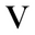 Villaskincare logo