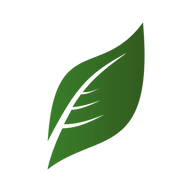LoamLife Media logo