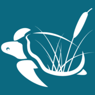 Turtle Swimming Ponds logo