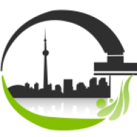 Toronto Steam N Clean logo
