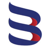 Britwis Limited logo
