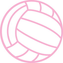 Play Netball logo