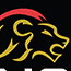 Lions Sports Academy logo