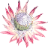 Scent Trail logo