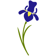 Blue Iris Landscapes Ltd logo