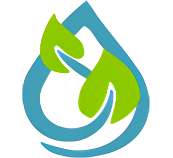 Boston Bulbs logo