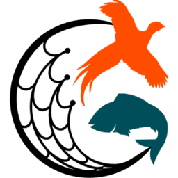 Collins Nets logo