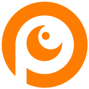 Project Vision Ltd logo