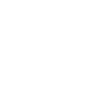 Theluxurywatchcarecompany logo