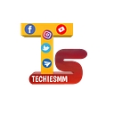 Techiesmm logo