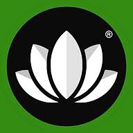 Veisa & Co Ltd logo
