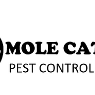 Ace Mole Catching logo