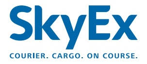 Skyexpressinternational logo