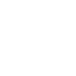 stridist.com logo