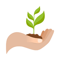 Seed Hypnotherapy logo