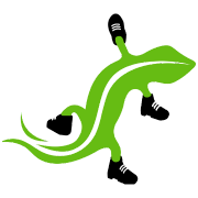 Gecosafe logo