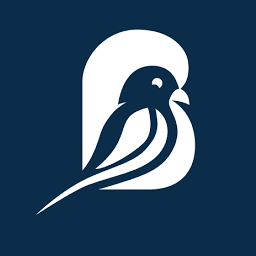 Biirdee Travel logo