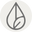 The Alchemy Of Skincare - Buddha Beauty Skincare logo
