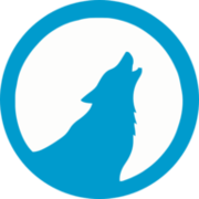 Wolf Winner Casino logo