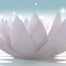 Step Into Your Light - Christina Moore logo