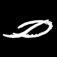 Dina Perejogina logo
