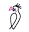 cockatoococktails.com.au logo