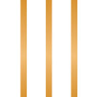 Mayfair 101 logo